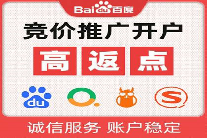 某某SEM团队成功提升网站流量与转化率的实战经验